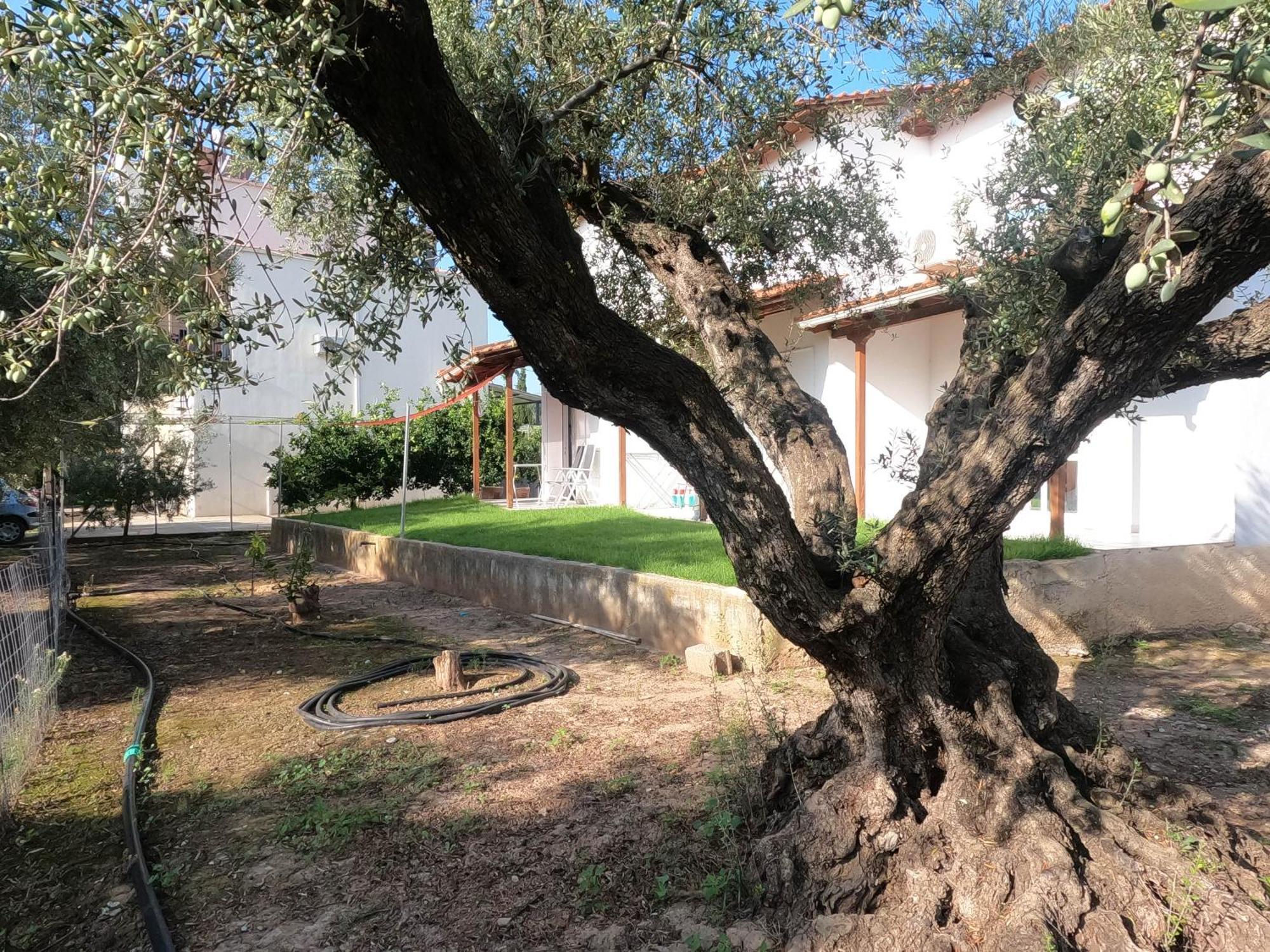 הוילה איגיו Spiti Ostria מראה חיצוני תמונה