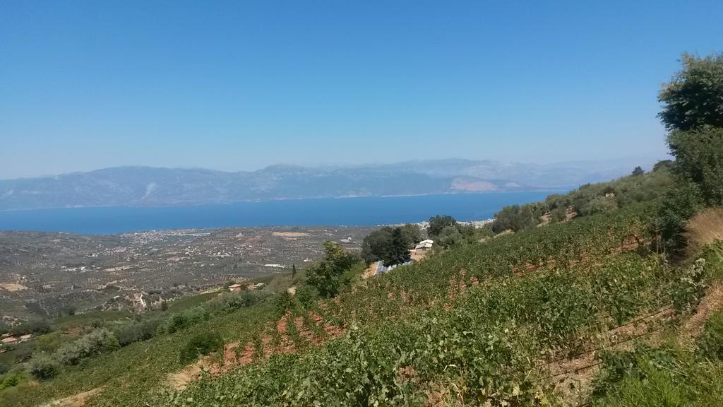 הוילה איגיו Spiti Ostria מראה חיצוני תמונה